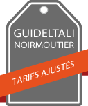 guideltali services